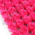 v8_9CFF_fd6