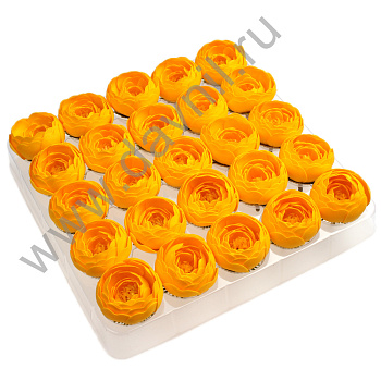 v8_9CFF_1521