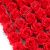 v8_9CFF_fda