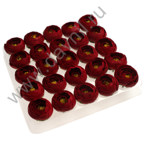 v8_9CFF_1068