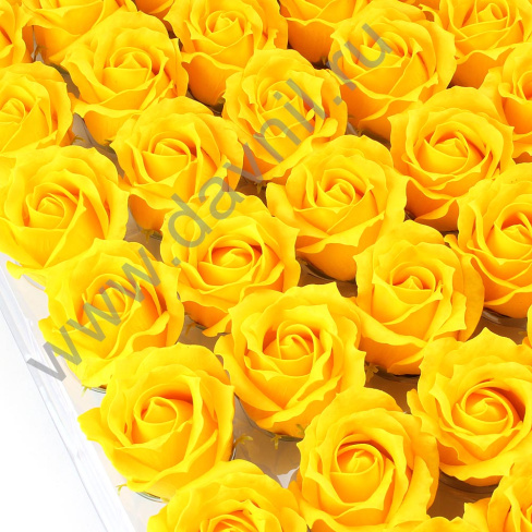 v8_9CFF_fd8