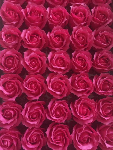 v8_9CFF_fd5