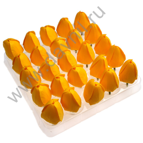 v8_9CFF_1f9