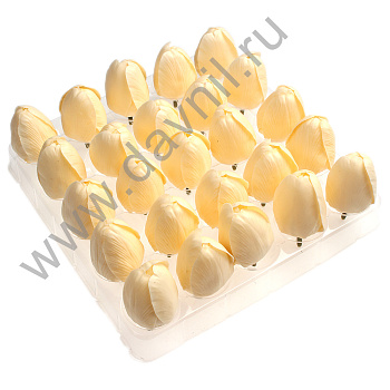 v8_9CFF_1529